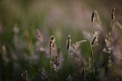 《塞尔达》衍生作《海拉尔英雄》曝光 《银河战士融合》开发商制作